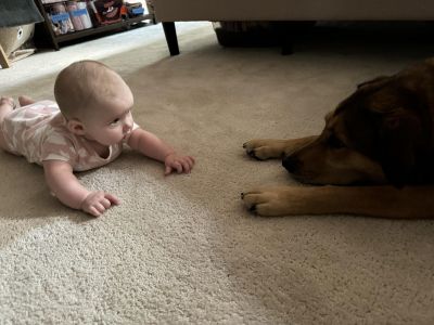 May and Leia Staring at Each Other
